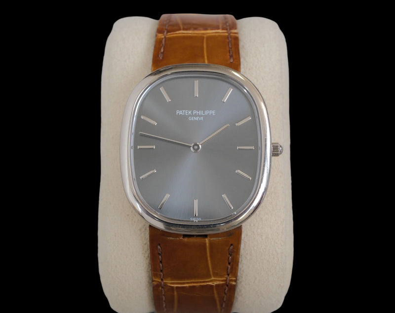 Patek Philippe 3738/100G-012
