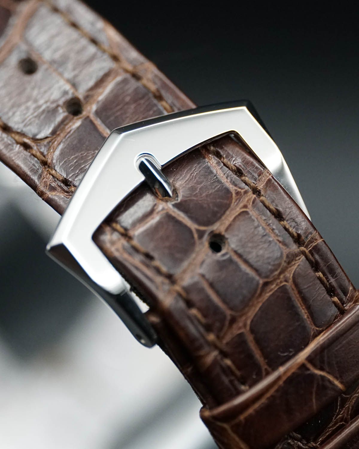 Patek Philippe 6196P